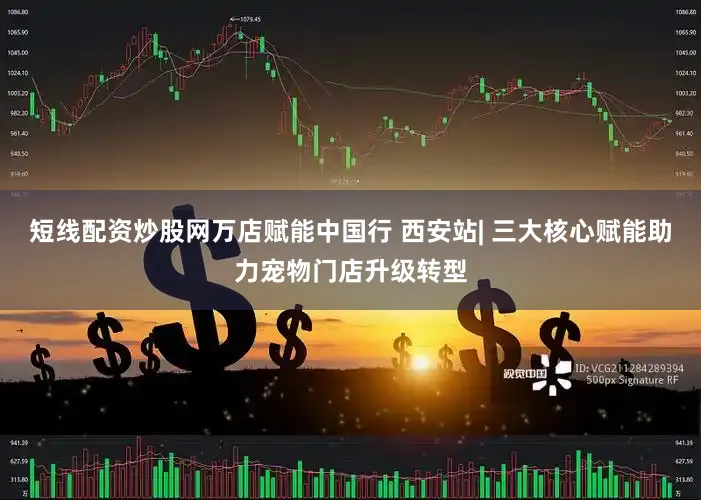 短线配资炒股网万店赋能中国行 西安站| 三大核心赋能助力宠物门店升级转型