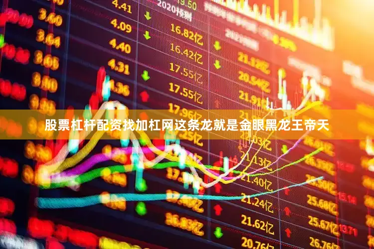 股票杠杆配资找加杠网这条龙就是金眼黑龙王帝天