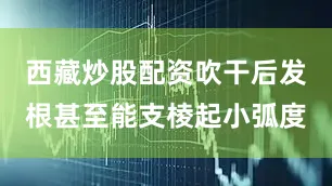 西藏炒股配资吹干后发根甚至能支棱起小弧度