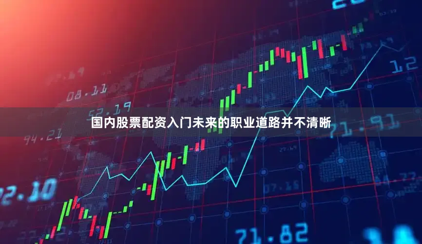 国内股票配资入门未来的职业道路并不清晰
