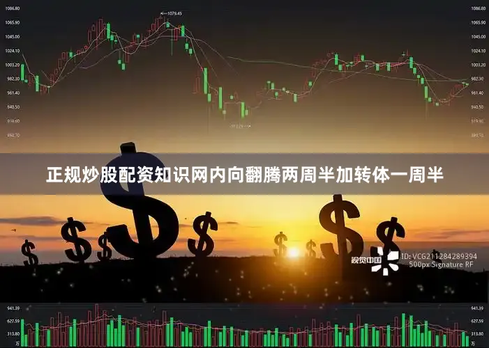 正规炒股配资知识网内向翻腾两周半加转体一周半